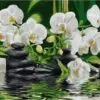 Рисуване по номера Водна орхидея - 40х50 см.
